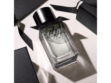 Zoom στο BURBERRY Mr BURBERRY EDT 100ml SPR (tester)