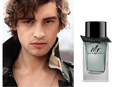 Zoom στο BURBERRY Mr BURBERRY EDT 100ml SPR (tester)