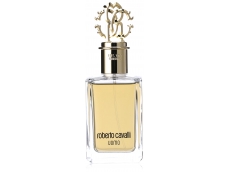 Zoom στο ROBERTO CAVALLI UOMO EDT 100ml SPR