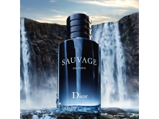 Zoom στο CHRISTIAN DIOR SAUVAGE EAU FORTE PARFUM 60ml SPR (ALCOHOL FREE)