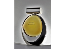 Zoom στο CALVIN KLEIN BEAUTY EDP 100ml SPR