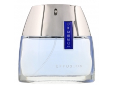 Zoom στο ICEBERG EFFUSSION FOR HIM EDT 75ml SPR